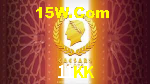 Programa VIP 11KK